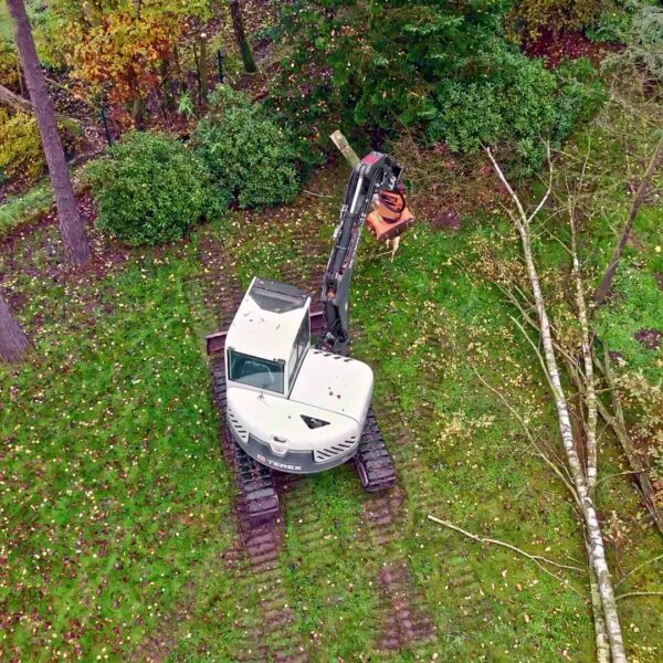 Bethmann Garten- und Landschaftsbau Baumfaellung - Schadensbeseitigung mit Bagger Terex TC 75 und Axer Fällkopf und JAK F