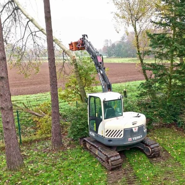 Bethmann Garten- und Landschaftsbau Baumfaellung - Schadensbeseitigung mit Bagger Terex TC 75 und Axer Fällkopf und JAK F
