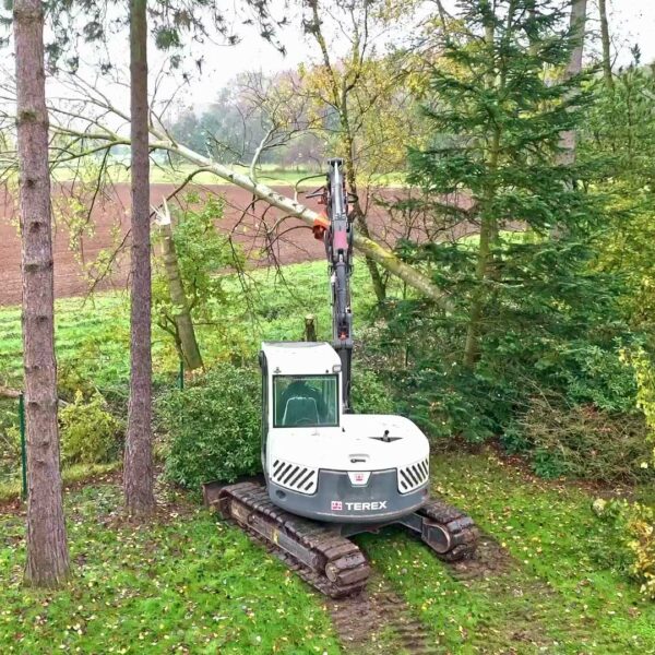 Bethmann Garten- und Landschaftsbau Baumfaellung - Schadensbeseitigung mit Bagger Terex TC 75 und Axer Fällkopf und JAK F