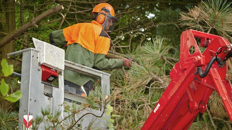 Bethmann Garten und Landschaftsbau - Baumpflege - Hubsteiger Kettenhubsteiger Leo 31 und Iveco Allrad LKW mit Palfinger Hubsteiger