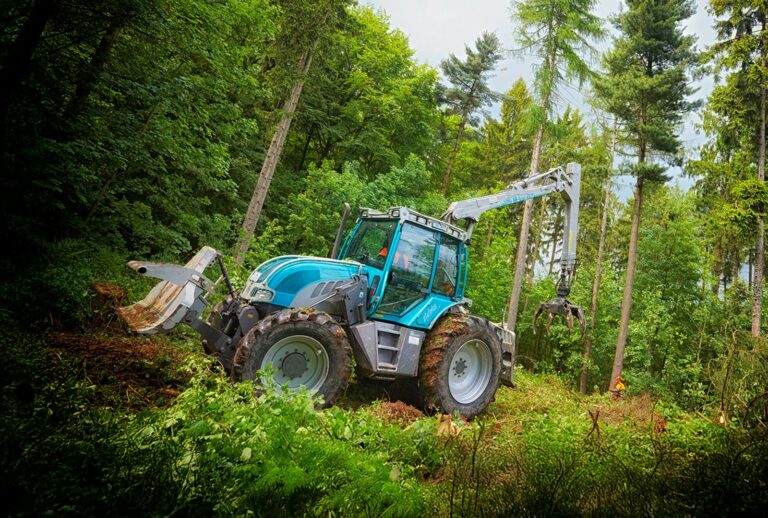 Bethmann Garten- und Landschaftsbau - Abholzen